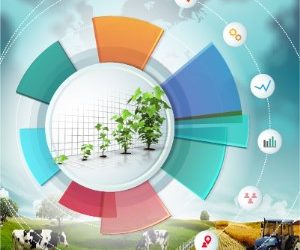 Agriculture Performance