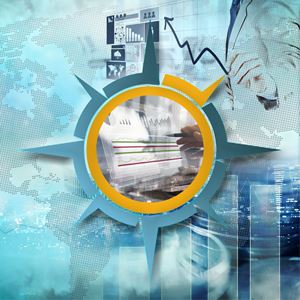 National and Global Investment / Management Consultancy