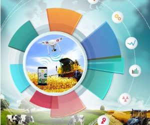 Digitalization & Modernization