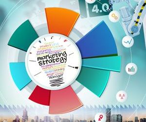 Domestic/International Marketing Strategies Development, Design, Management
