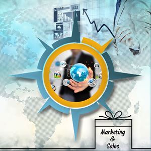 Domestic/International Marketing Strategies Development, Design, Management