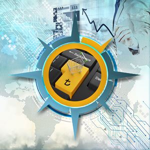 Dynamic E-Commerce Pricing