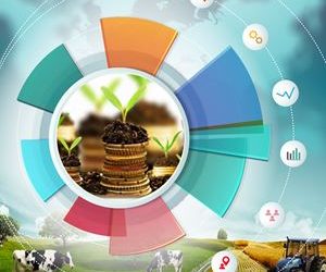 Government Incentives, Bureaucracy, Legislation, Market Conditions Process Management