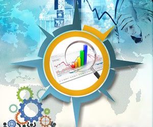 Status / Needs Analysis