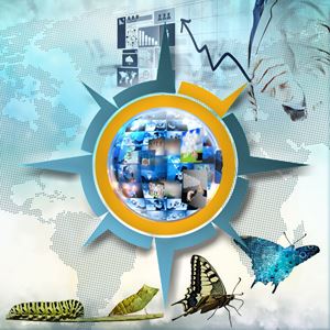 Transfer of Innovation, R & D, Technology