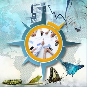 Kamu Stratejileri ve Politikaları